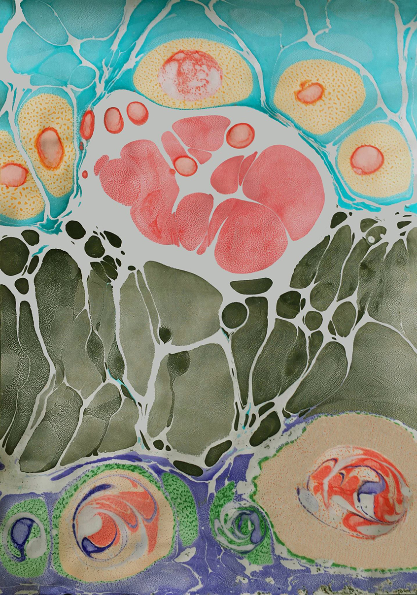 13244118_549689355193153_433695367945005088_o kopia%202