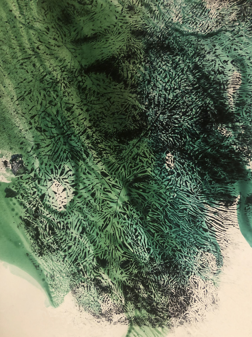 M.Pawlęga%20kalkodruk1