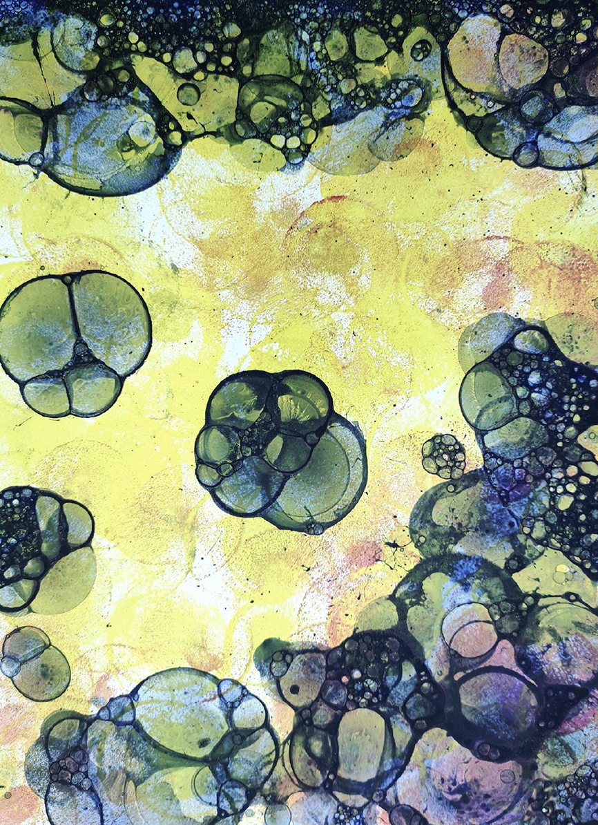 ZPodwikat.babelkowa1